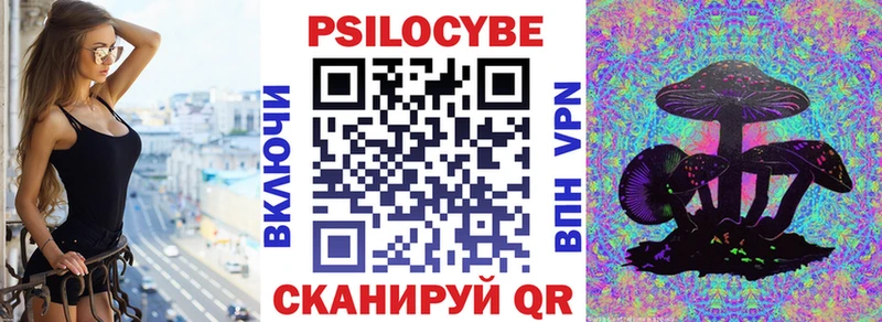 Галлюциногенные грибы мицелий  купить закладку  Чайковский 